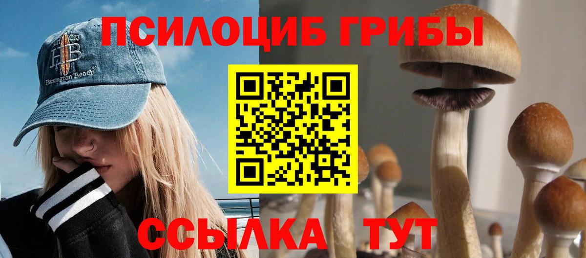 Домодедово  Псилоцибиновые грибы Psilocybe  Вход с VPN  Псилоцибиновые грибы Psilocybine cubensis 